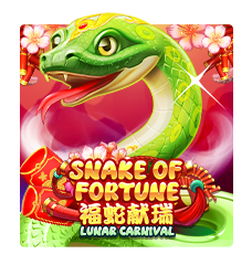 Fortune Festival