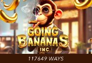 Farmland Frenzy Maxways